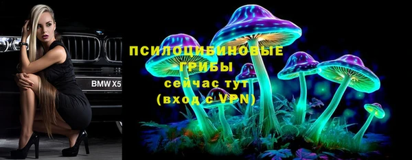 гидропоника Алзамай