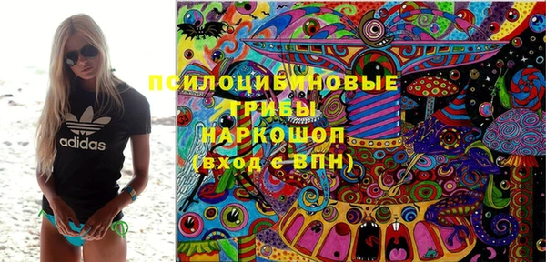 твердый Алексеевка