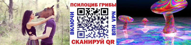 Галлюциногенные грибы Psilocybine cubensis  купить наркотик  Дедовск 